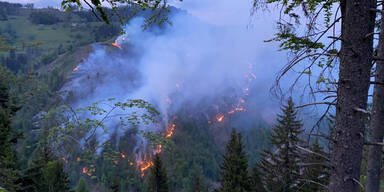 Waldbrand Eisenkappel-Vellach