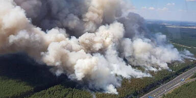 Waldbrand Brandenburg