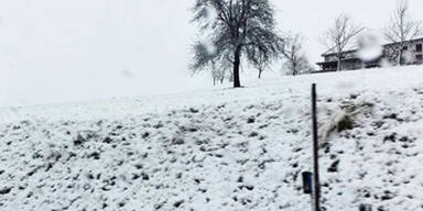 Wintereinbruch im Mühlviertel 
