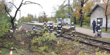 Unbenannt-6.jpg