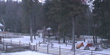 Hohe Wand Naturpark 