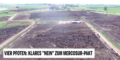 Unsere Tiere - Tierschutz-CH - Vier Pfoten, Mercosur - Sendung 28022021