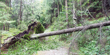 Unwetter.jpg