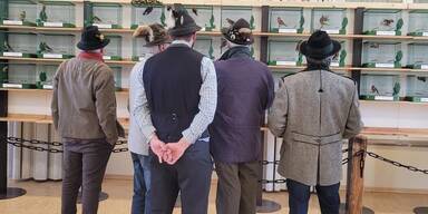 Gefangene Tiere werden ausgestellt 