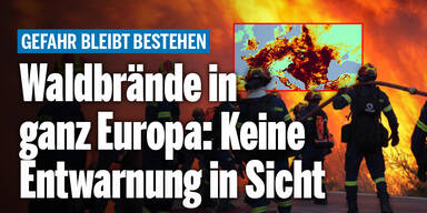 Waldbrände_Konsole.jpg
