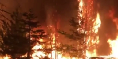 Waldbrand