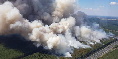 Waldbrand Berlin