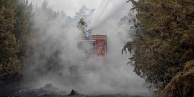 Waldbrand Berlin
