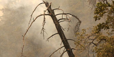 Waldbrand