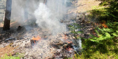 Waldbrand.jpg