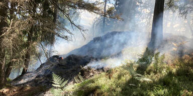 Waldbrand2.jpg