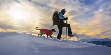 Wanderhotels - Urlaub Hund