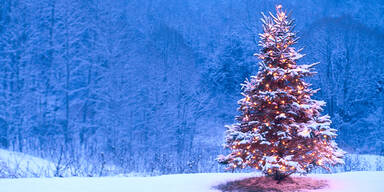 DIESER Herbsttag verrät, ob wir weiße Weihnachten bekommen