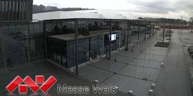 Wels