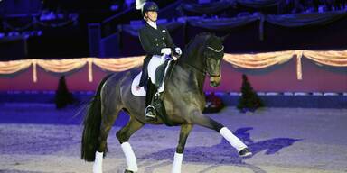 Das größte Indoor-Pferdesportevent Europas mit 500 Pferden