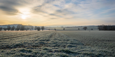 Winter-Comeback: Diese Woche kann es noch mal schneien 