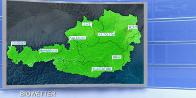 Wetter_TV_160728biowe_0600h_Sendung.Standbild046.jpg