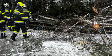 Auto prallt gegen Baum: Schwerverletzter bei Unfall auf A10