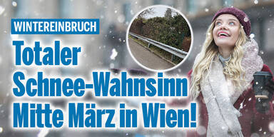Wien_Konsole.jpg