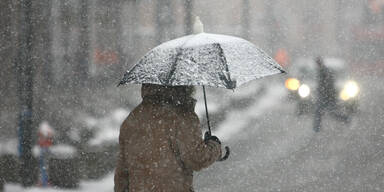Winter-Schock.jpg