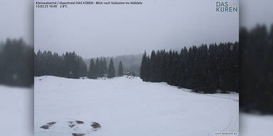 Winterpracht_Kleinwalsertal.jpg