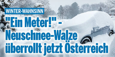 Winterwahnsinn_Konsole.jpg