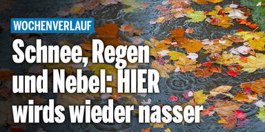 Wochenverlauf_Konsole.jpg