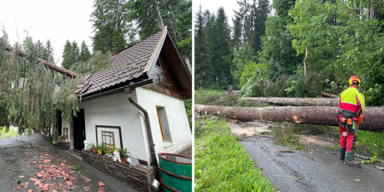 Wohnhaus_Header.png