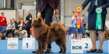 Großspitz aus NÖ siegt bei World Dog Show in Helsinki