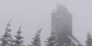 Zoltan_Header.png