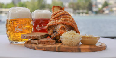 _Copyright ROBIN CONSULT Lepsi-0376.jpg