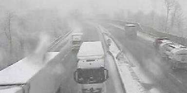 a12.jpg
