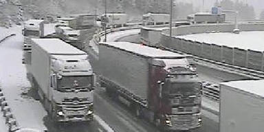 a13.jpg