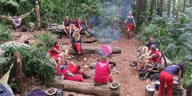 Premiere und Panik im Dschungelcamp: Nächster Star muss gehen