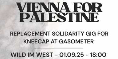Wirbel um Palästina-Konzert in Wien