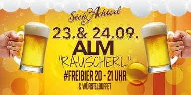 alm_konsole_stehachterl.jpg