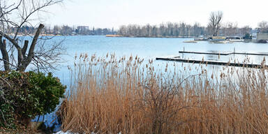 Alte Donau