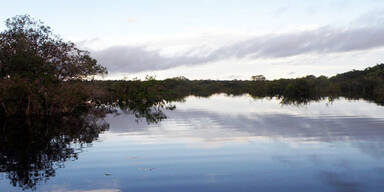 amazonas.jpg