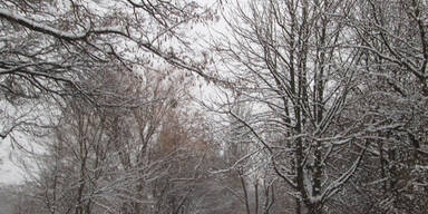 Schnee Wien