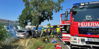 Pkw-Lenker (81) crasht gegen Baum – tot