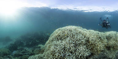 Great Barrier Reef