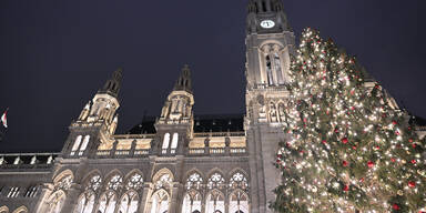 Christbaum mit 2.000 Lichtern begeistert Besucher