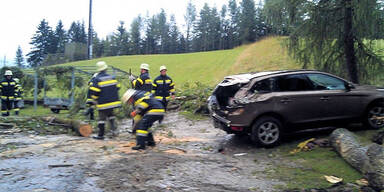 Baum stürzt in Paßriach auf Auto 