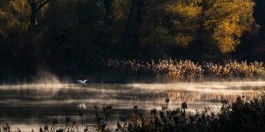 Über 100.000 Besucher im Botanischen Garten