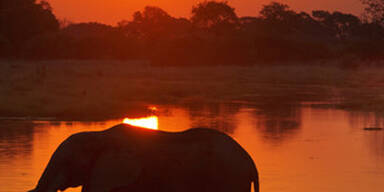 botswana.jpg