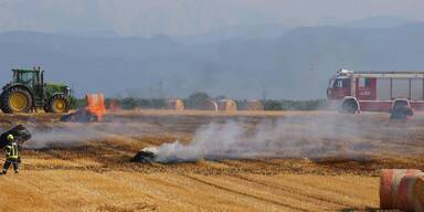 Trockenheit führt zu Brandserie in mehreren Bezirken