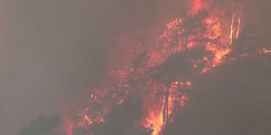Brand