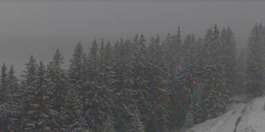 brandnertal-6.jpg