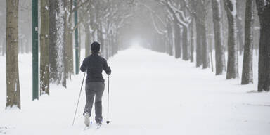 Winterwetter in Wien