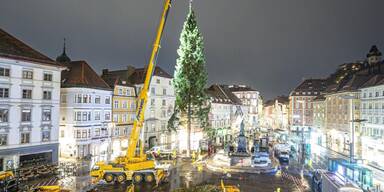 Grazer Hauptplatz bekommt 150 Jahre alten Christbaum 